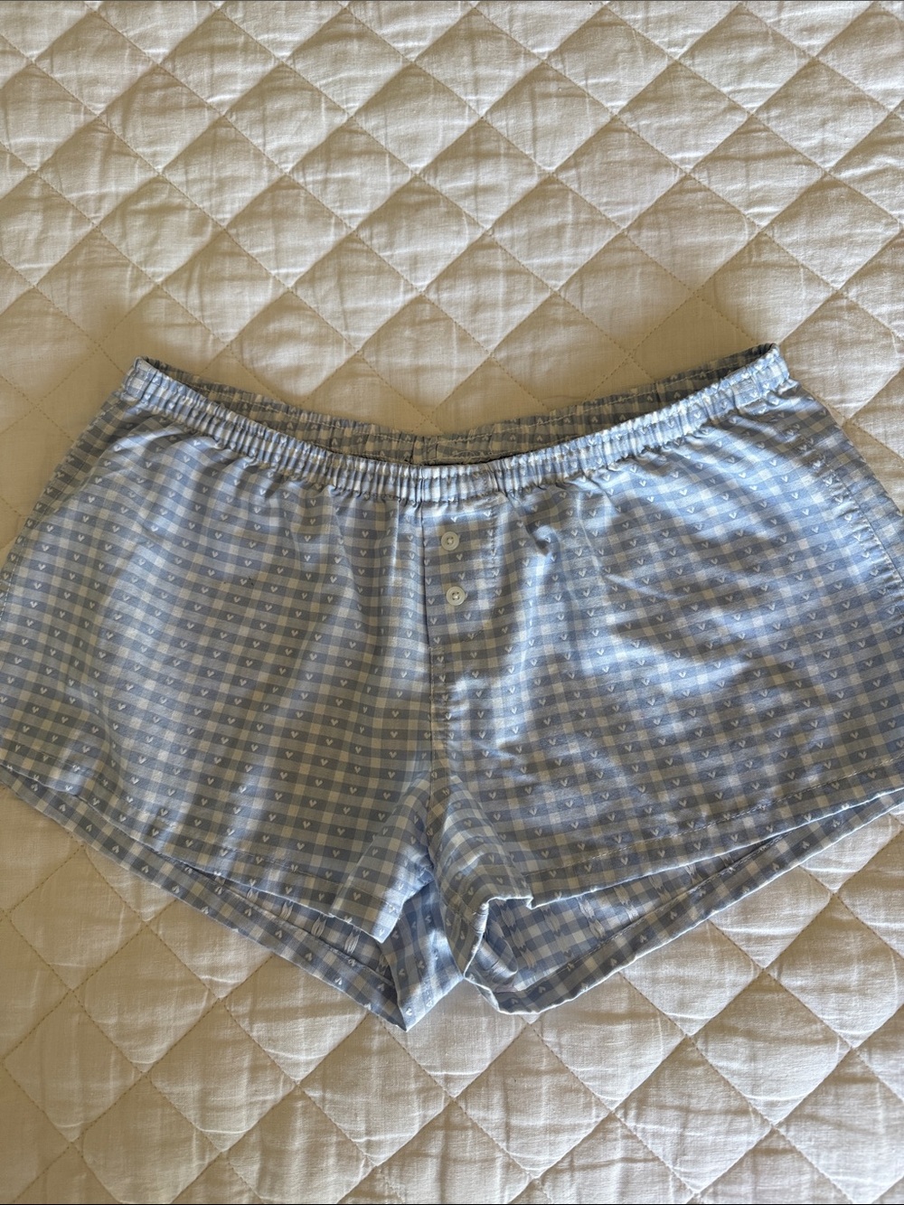 Brandy Melville Blue Gingham Cotton Lounge Shorts